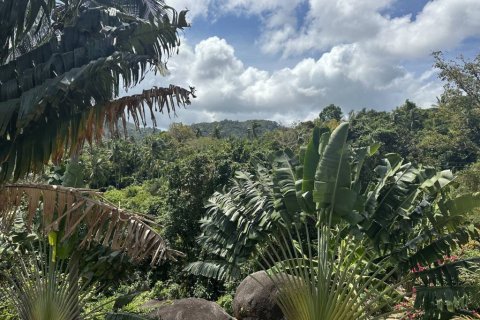 Земельный участок в Сураттхани, Таиланд  № 172935 - фото 3