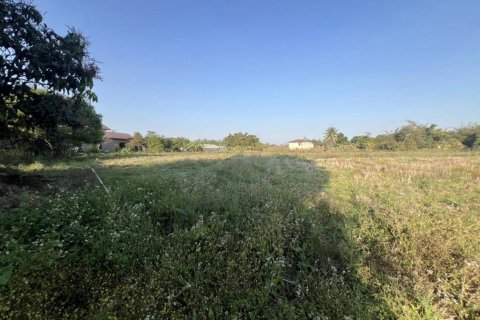 Terrain à Chiang Rai, Thaïlande № 172938 - photo 10