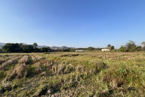 Terrain à Chiang Rai, Thaïlande № 172938 - photo 7