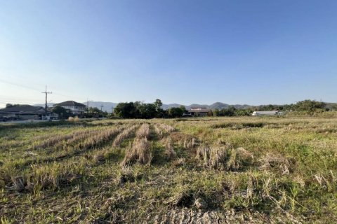 Terrain à Chiang Rai, Thaïlande № 172938 - photo 8