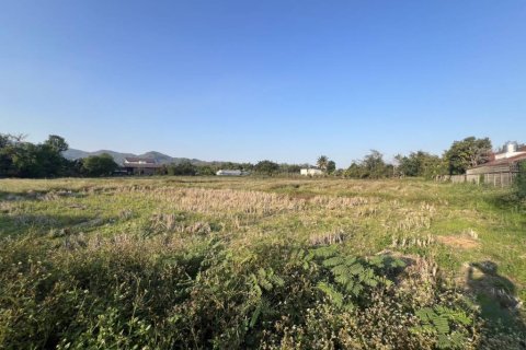 Terrain à Chiang Rai, Thaïlande № 172938 - photo 5