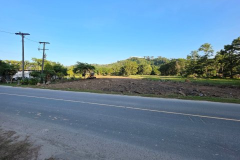 Terrain à Phuket, Thaïlande 4000 m2 № 155903 - photo 6