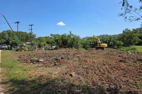 Terrain à Phuket, Thaïlande 4000 m2 № 155903 - photo 3
