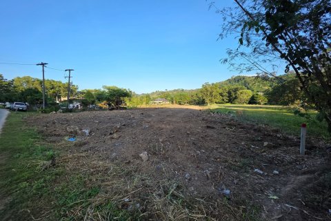 Terrain à Phuket, Thaïlande 4000 m2 № 155903 - photo 8