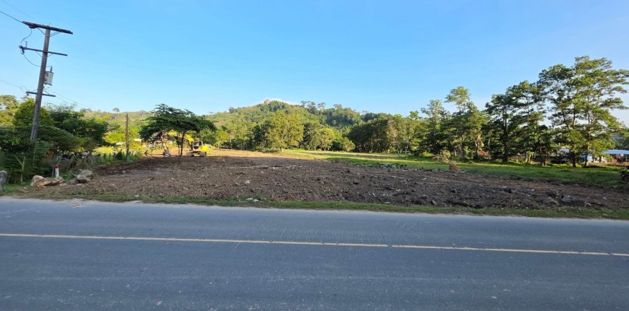 Terrain à Phuket, Thaïlande 4000 m2 № 155903