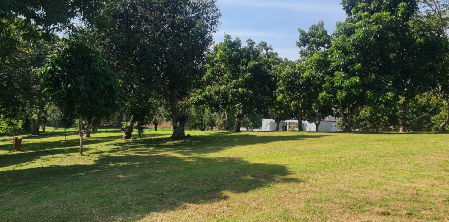 Земельный участок в Чианграе, Таиланд 1600м2  № 155902