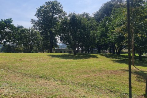 Земельный участок в Чианграе, Таиланд 1600м2  № 155902 - фото 10