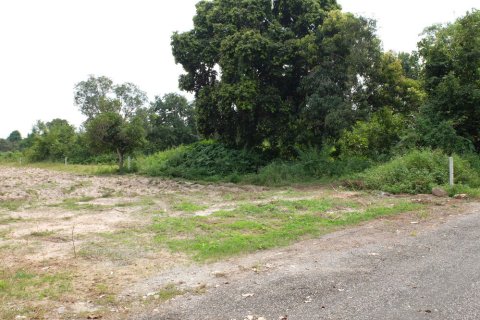 Terrain à Chiang Mai, Thaïlande № 162484 - photo 3