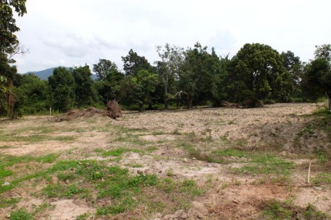 Terrain à Chiang Mai, Thaïlande № 162484 - photo 6