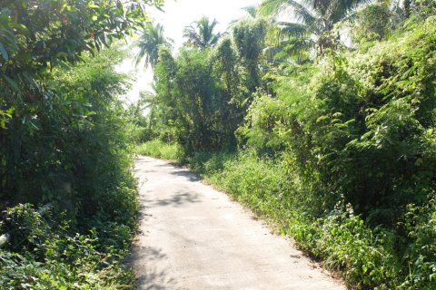 Land in Chiang Mai, Thailand № 162486 - photo 2