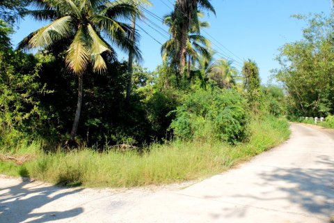 Land in Chiang Mai, Thailand № 162486