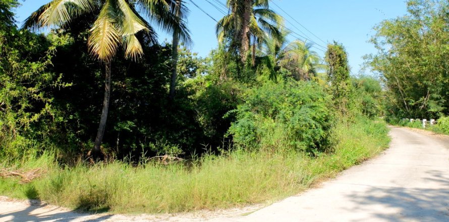 Land in Chiang Mai, Thailand № 162486