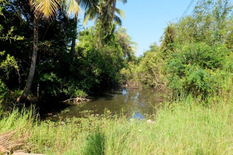 Land in Chiang Mai, Thailand № 162486 - photo 5