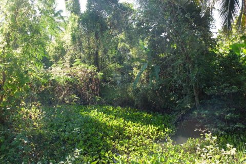 Land in Chiang Mai, Thailand № 162486 - photo 4