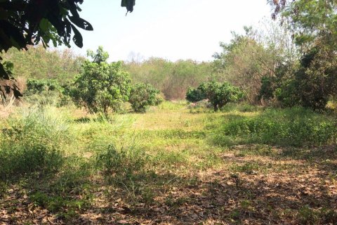 Земельный участок в Чиангмае, Таиланд  № 162488 - фото 4