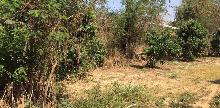 Земельный участок в Чиангмае, Таиланд  № 162488