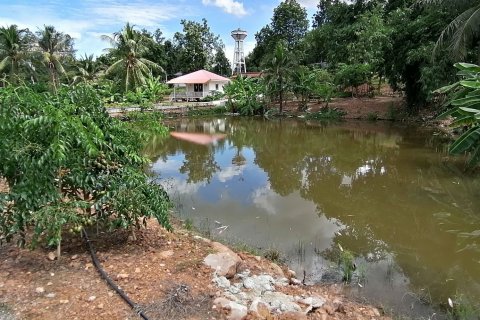 Terrain à Phetchaburi, Thaïlande 9600 m2 № 140499 - photo 6