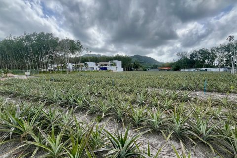 Land in Phuket, Thailand 4800 sq.m. № 148433 - photo 2