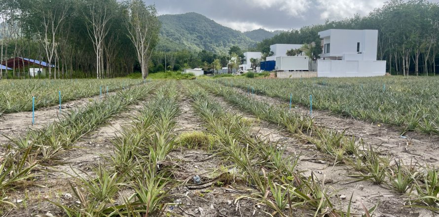 Land in Phuket, Thailand 4800 sq.m. № 148433