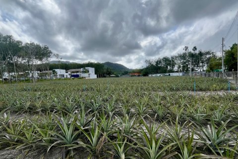 Land in Phuket, Thailand 4800 sq.m. № 148433 - photo 3