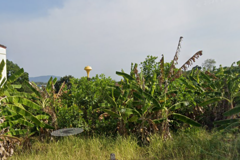 Land in Phuket, Thailand 1040 sq.m. № 171176 - photo 4