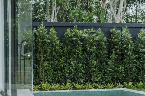 Villa à Phuket, Thaïlande 3 chambres № 147878 - photo 15