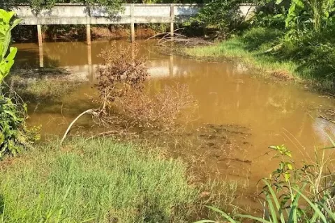 Villa à Phang Nga, Thaïlande 3 chambres № 140000 - photo 20